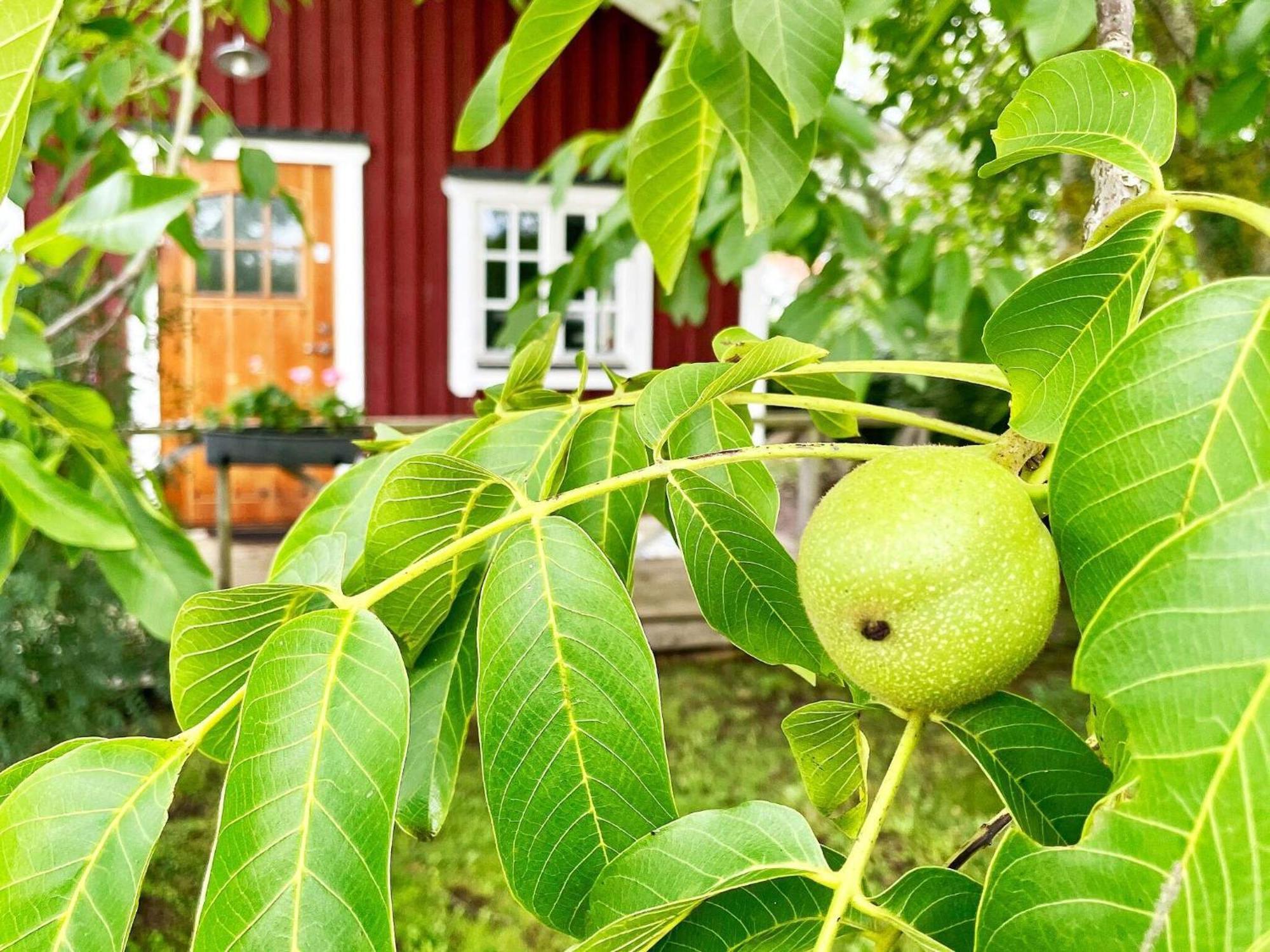 Holiday Home Malaretorpsvaegen 보리홀름 외부 사진